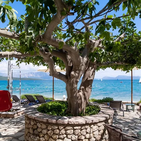 게스트하우스 S9 니키아나